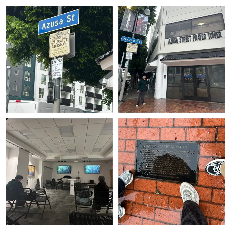 collage3.png