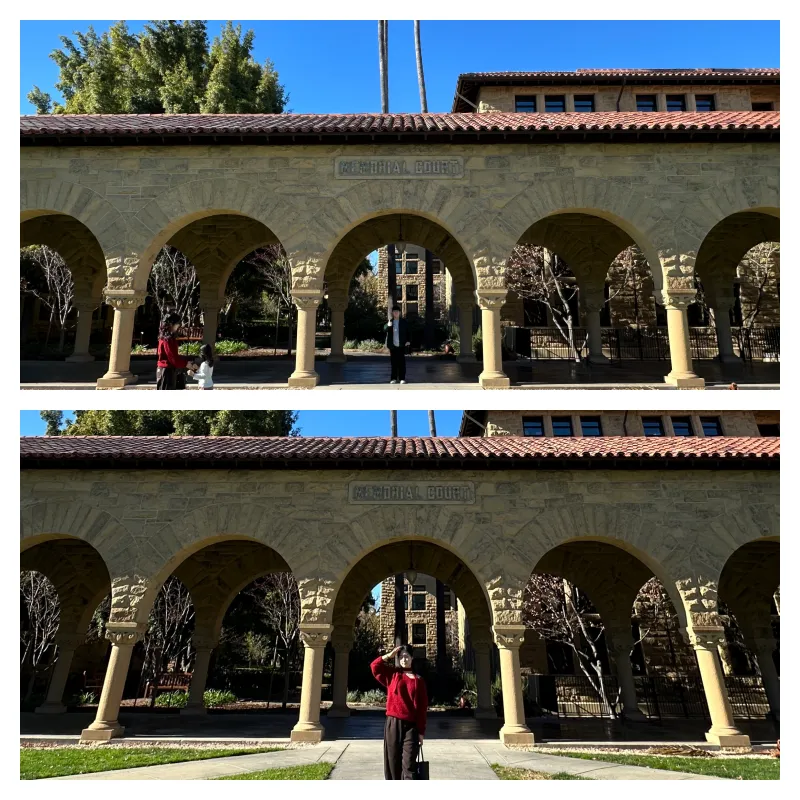collage3.png