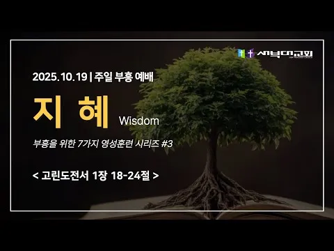 지혜