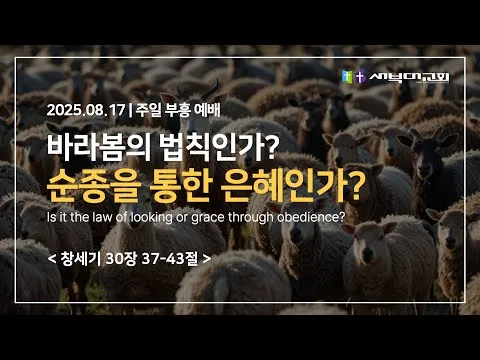 바라봄의 법칙인가? 순종을 통한 은혜인가?